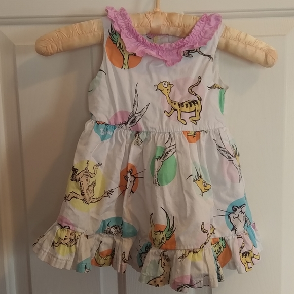 Dr. Seuss Other - Dr. Suess dress
